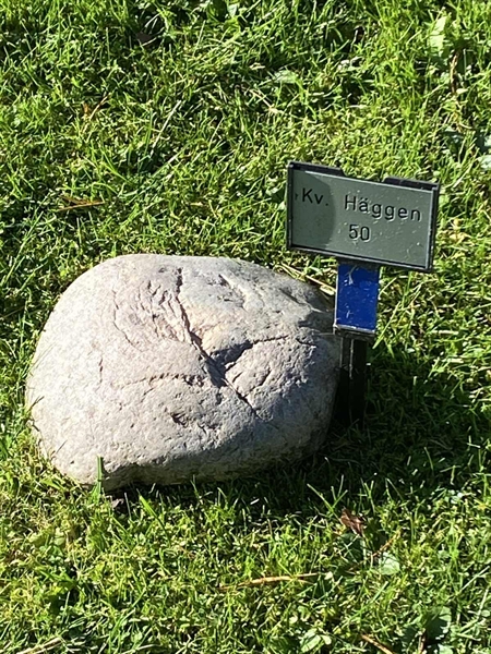 Grave number: 2 H    50