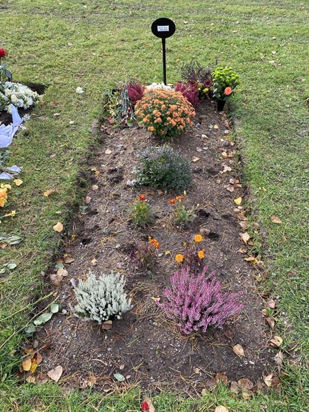 Hautatunnus: 2 G    96