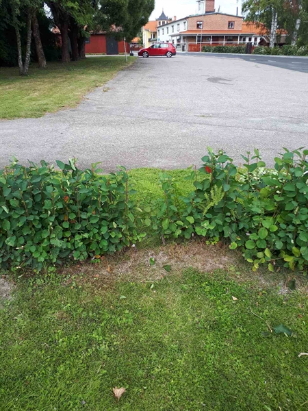 Hautatunnus: NK F C   102-103