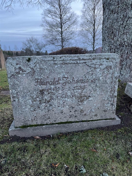 Hautatunnus: Vårv Kv4 62