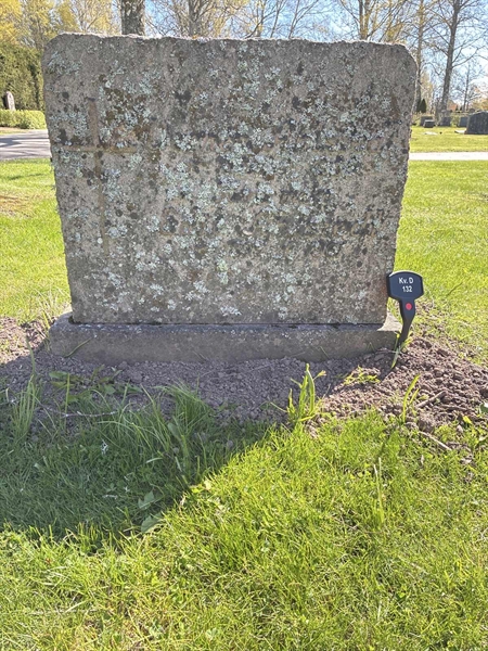 Gravnummer: 22 D   132