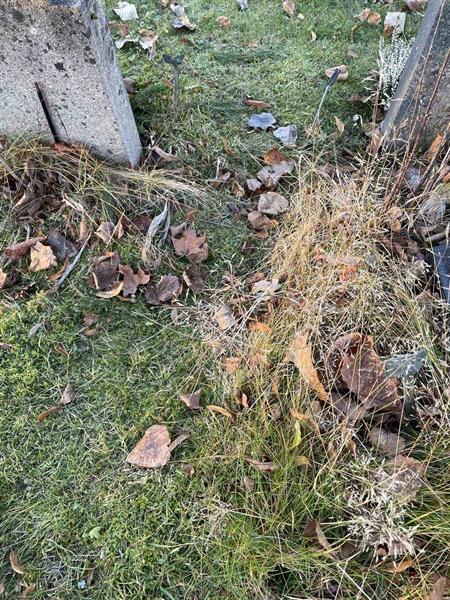 Gravnummer: GK A 3   486