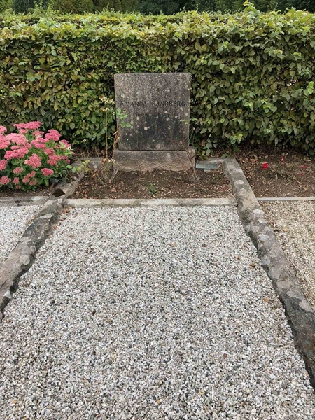 Grave number: RK T    37