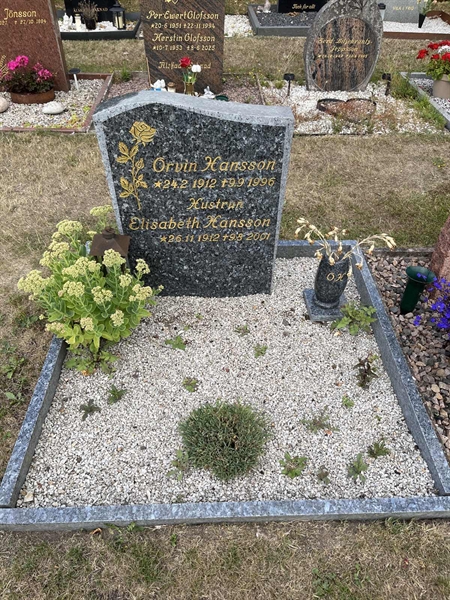 Grave number: NK XX:u   420