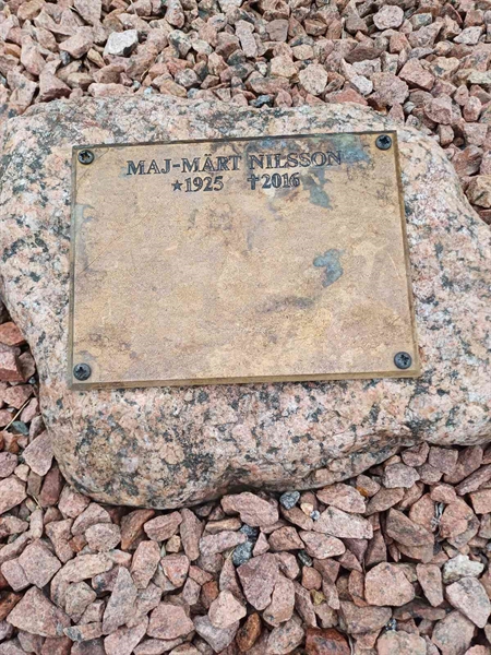 Hautatunnus: SA magp2 41