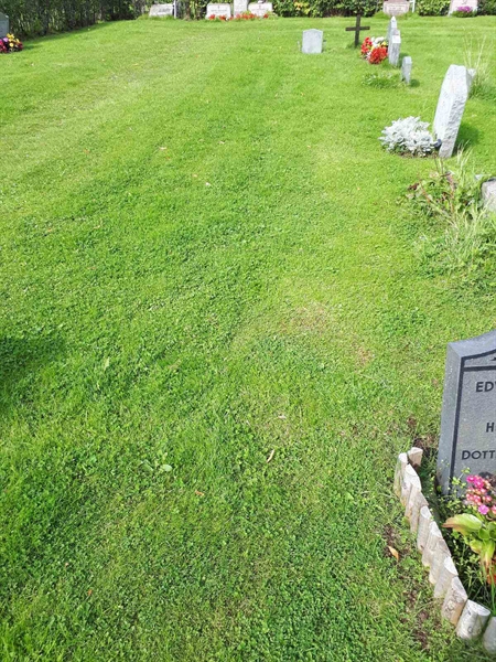 Gravnummer: NK A A   301