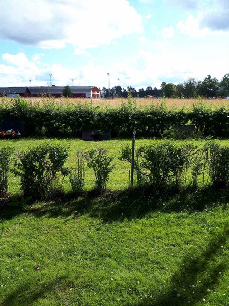 Gravnummer: GK F 5   468