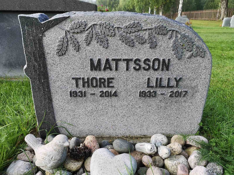 Hautatunnus: NK 20    49-50