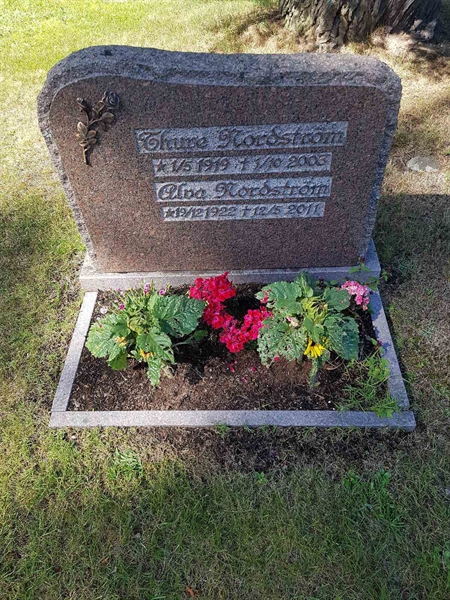 Grave number: 01  2241