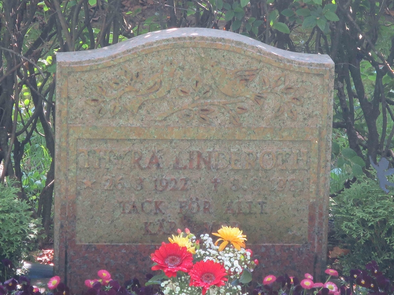 Grave number: HÖB 68   142