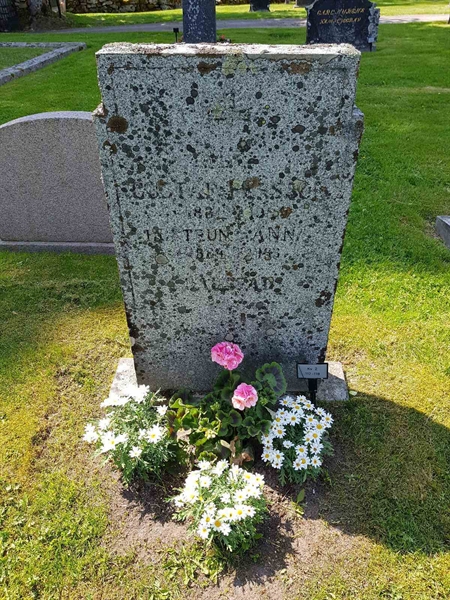 Grave number: kö 01 02   117-118