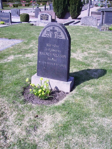 Grave number: LM 3 31  005