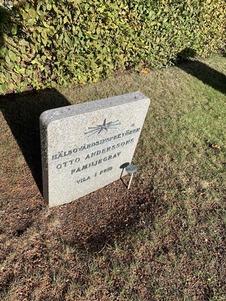 Grave number: NK I:u   222