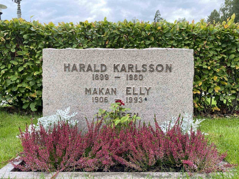 Grave number: 1 19    220, 221