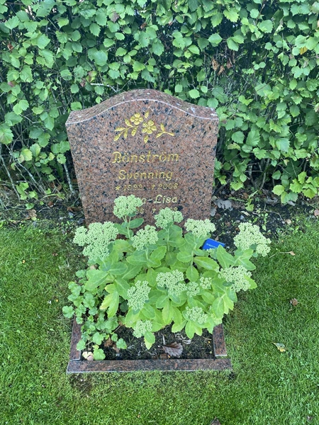Hautatunnus: G 27    20-21