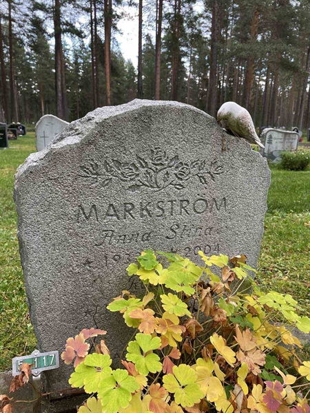 Grave number: 3 5   117