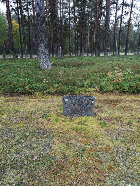 Hautatunnus: VLM 10     9:1