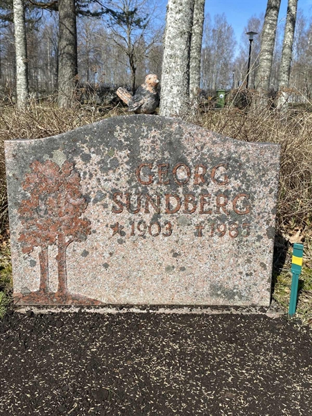 Hautatunnus: 1 19    262