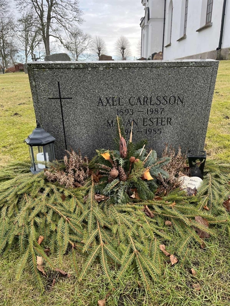 Hautatunnus: HA C    10, 11