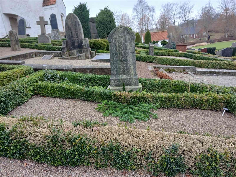 Hautatunnus: Si B    29, 30, 31