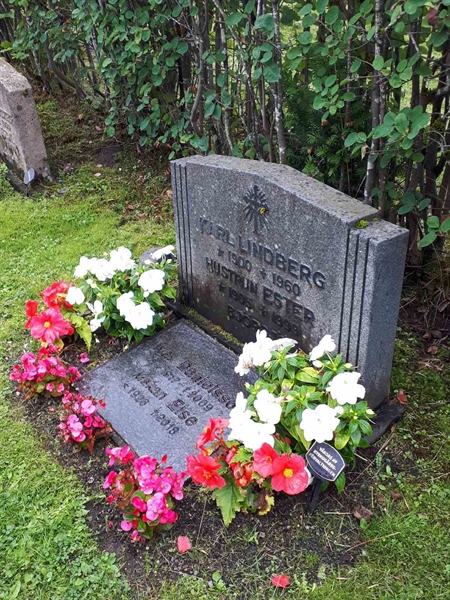 Gravnummer: NK F A   181