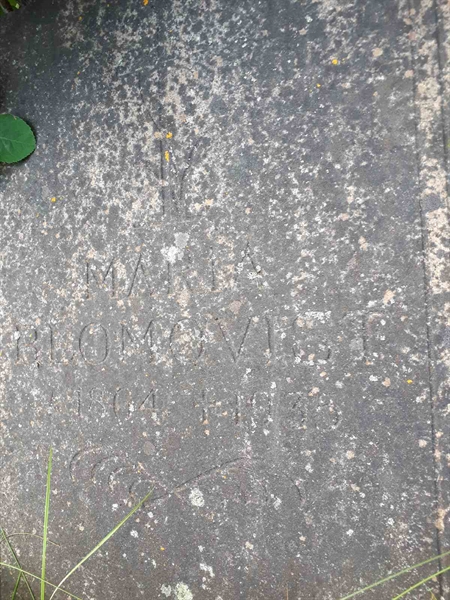 Hautatunnus: GK A 5   175H