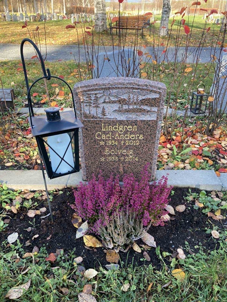 Grave number: 3 2445
