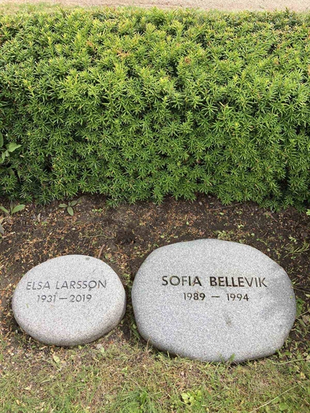 Hautatunnus: Kärn ga pers   434