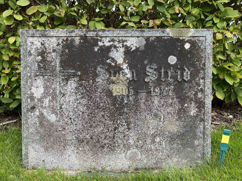Grave number: 1 19    234