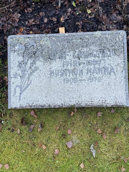 Hautatunnus: 3 01 06    24-25A