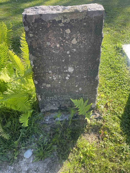 Hautatunnus: N 5 3 498