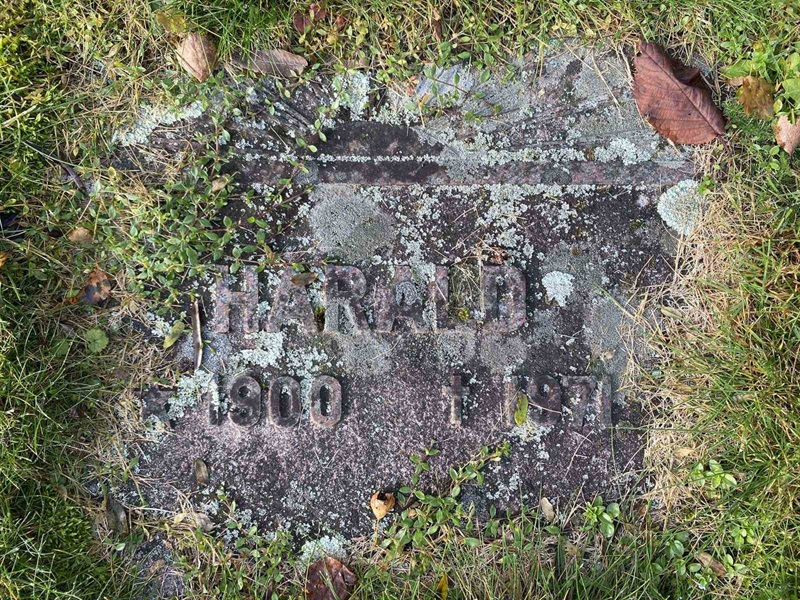 Hautatunnus: 1 24     82