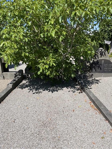 Grave number: NK III   102