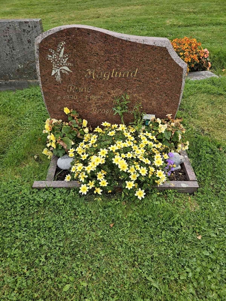 Hautatunnus: Fr 8   228-229