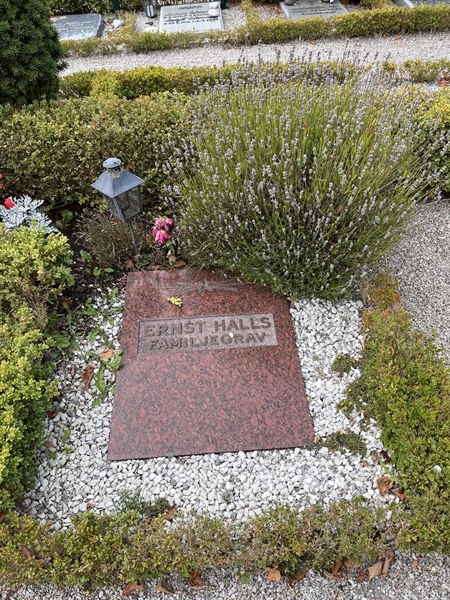 Grave number: VK I:u    45
