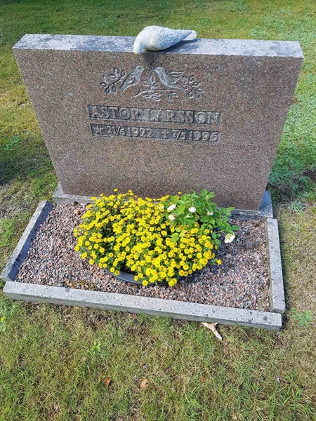 Grave number: 01  2231