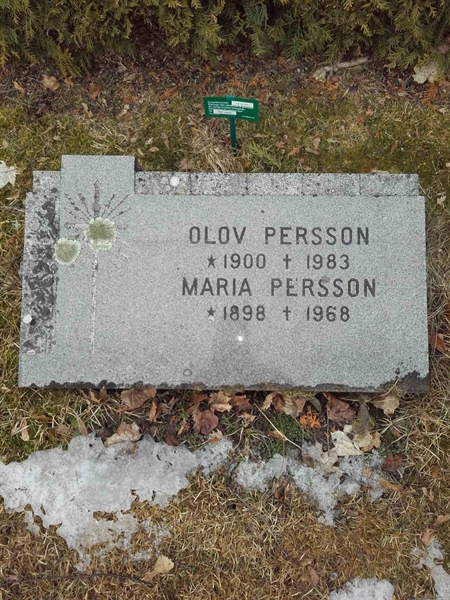 Grave number: JÄ 07   270