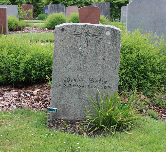 Grave number: Ö 29   193