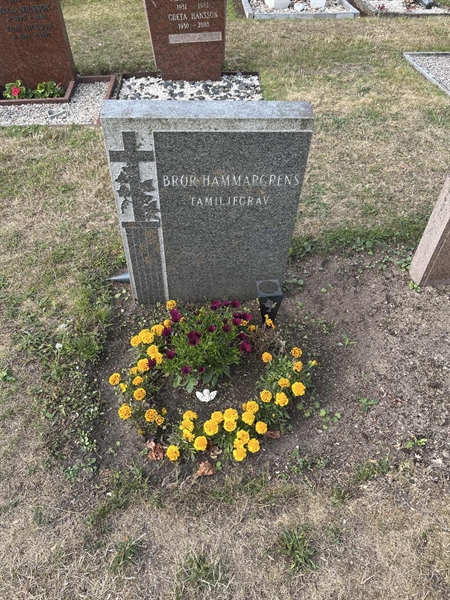 Grave number: NK XX:u   312