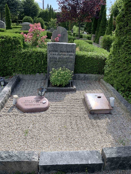 Grave number: NK VIII    32