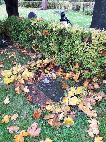 Grave number: GK F 1   224