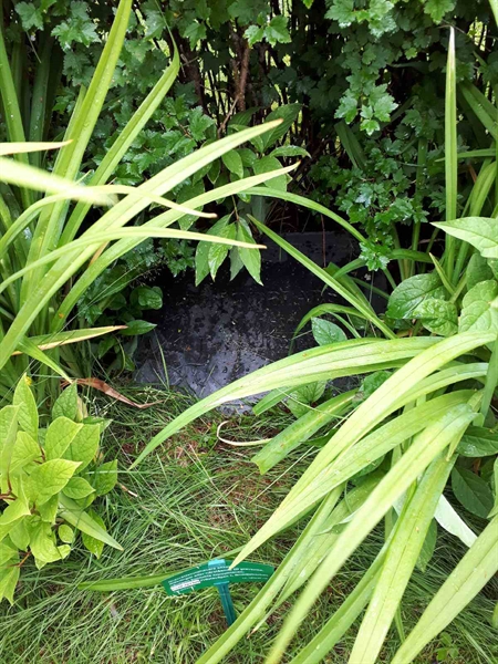 Hautatunnus: GK F 5   419