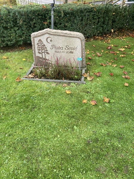 Hautatunnus: 1 3 M/Be    17