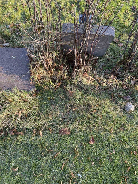 Gravnummer: GK A 3   598