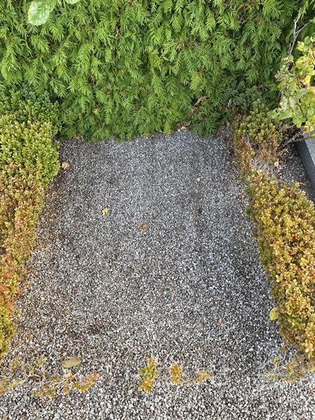 Grave number: NK Urn i    18