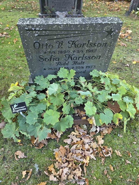 Grave number: T A B   486-487
