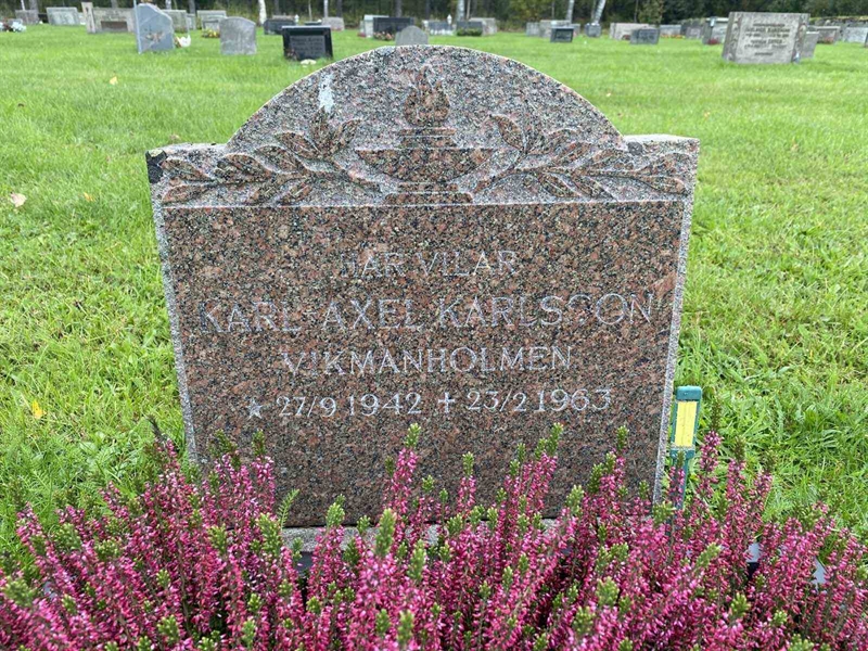 Gravnummer: 3 07   120