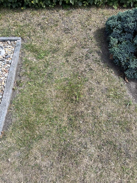Grave number: NK XX:u   121