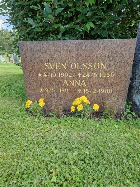 Grave number: 1 06    11