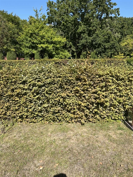 Gravnummer: NK XI    61